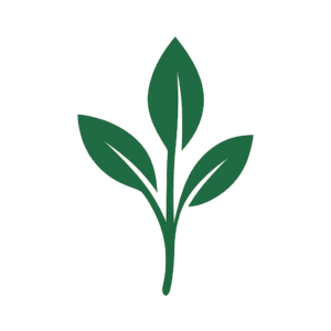 Regain d’Énergie naturelle logo feuilles